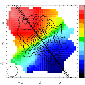 The ATLAS3D Project - X. On the origin of the molecular and ionized gas in early-type galaxies