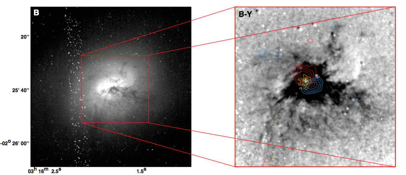 Detection of a High Brightness Temperature Radio Core in the Active Galactic Nucleus-driven Molecular Outflow Candidate NGC 1266