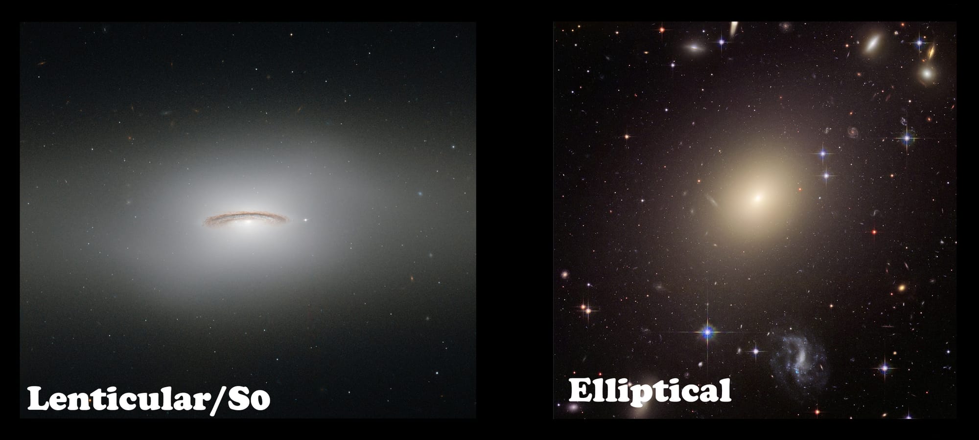Discovery of an Active Galactic Nucleus Driven Molecular Outflow in the Local Early-type Galaxy NGC 1266
