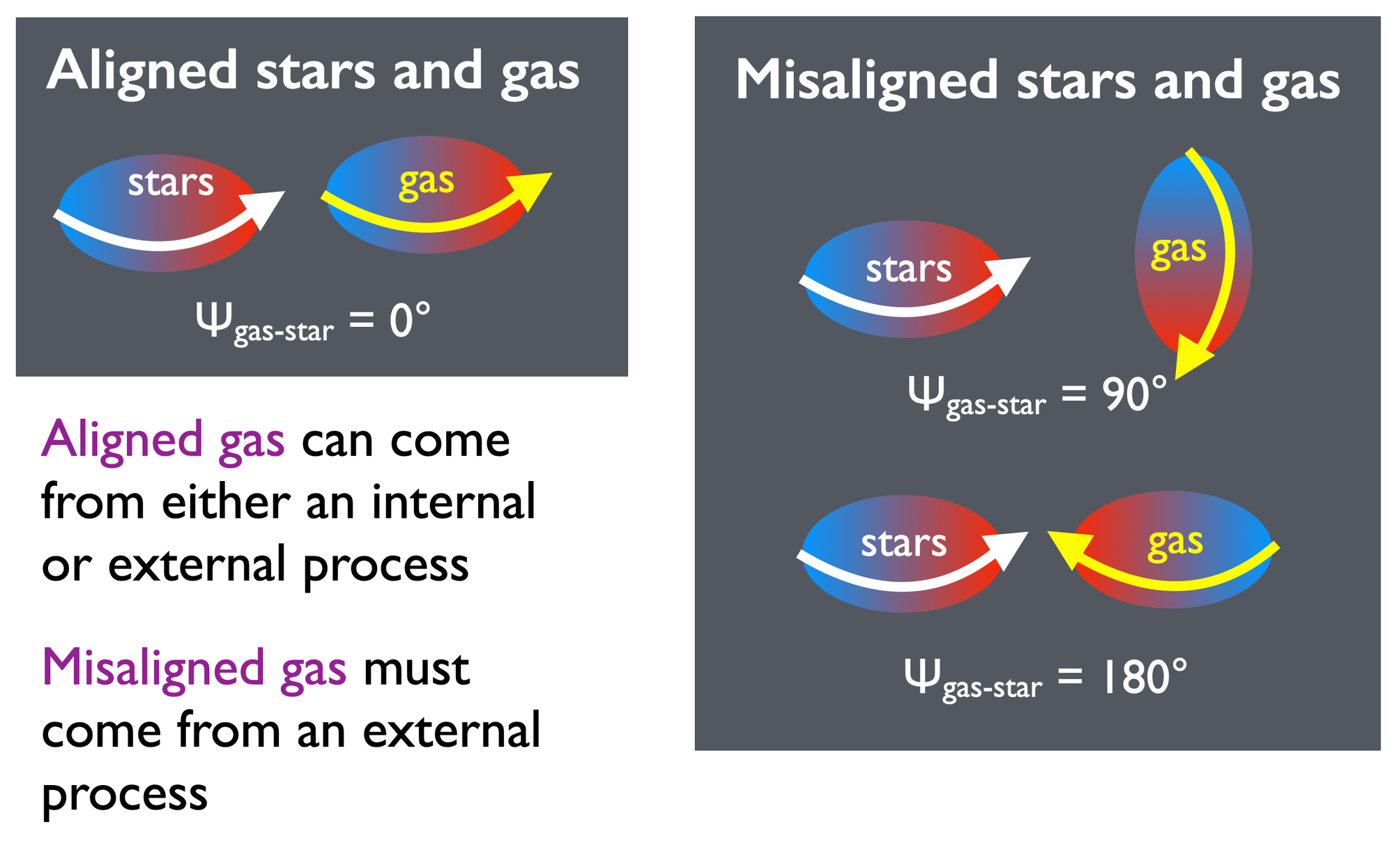 The ATLAS3D Project - X. On the origin of the molecular and ionized gas in early-type galaxies