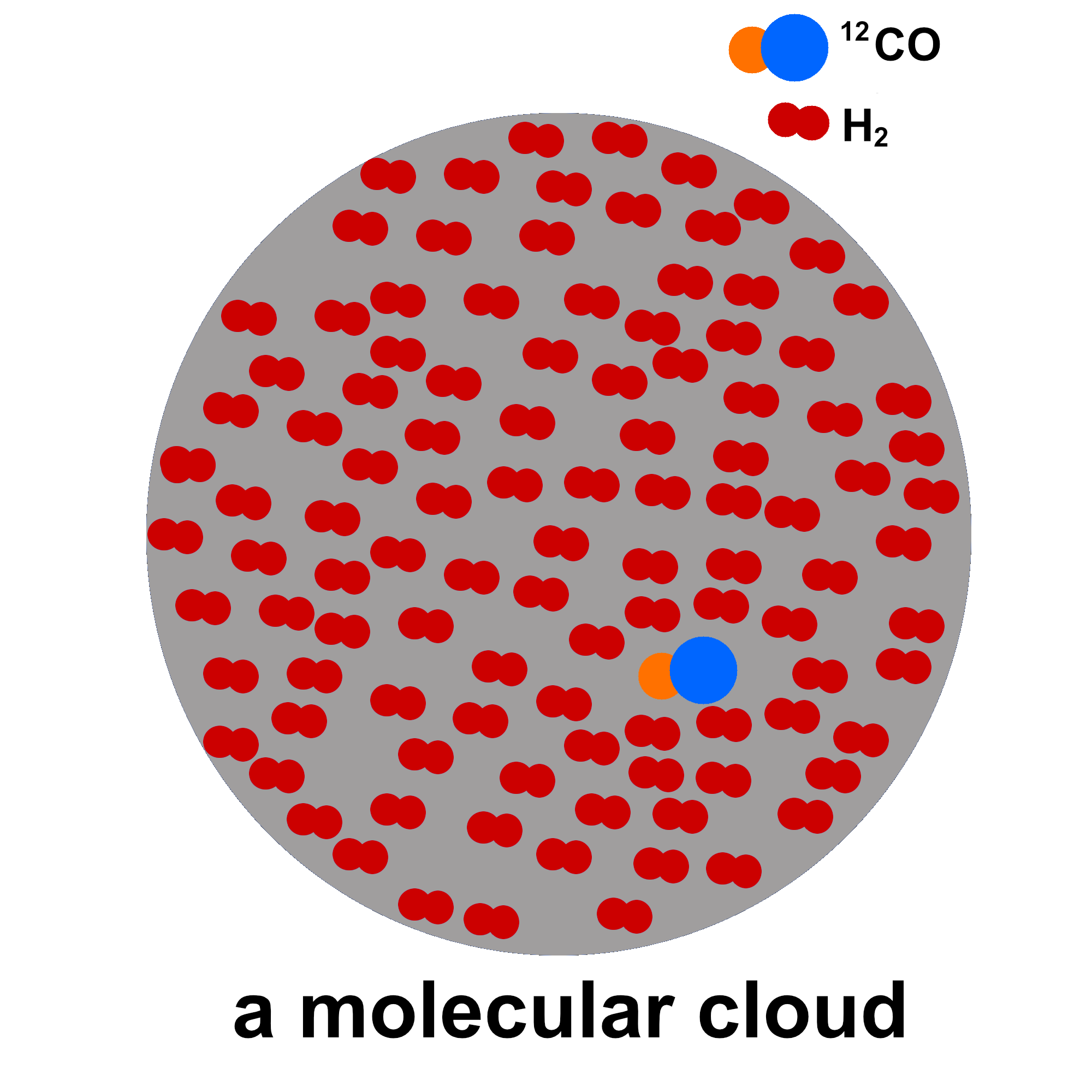 Evidence of boosted 13CO/12CO ratio in early-type galaxies in dense environments