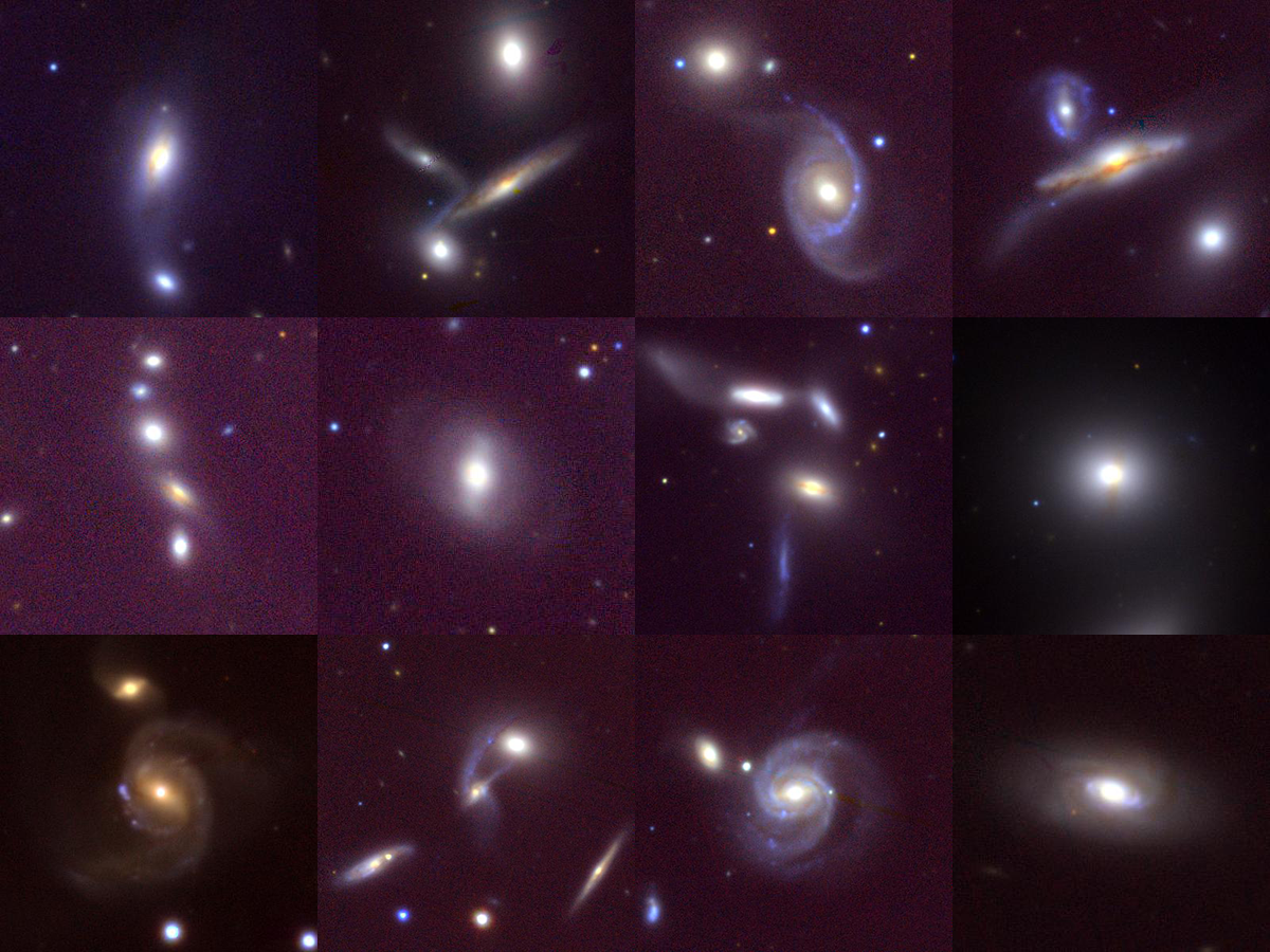 Star Formation Suppression in Compact Group Galaxies: a New Path to Quenching?