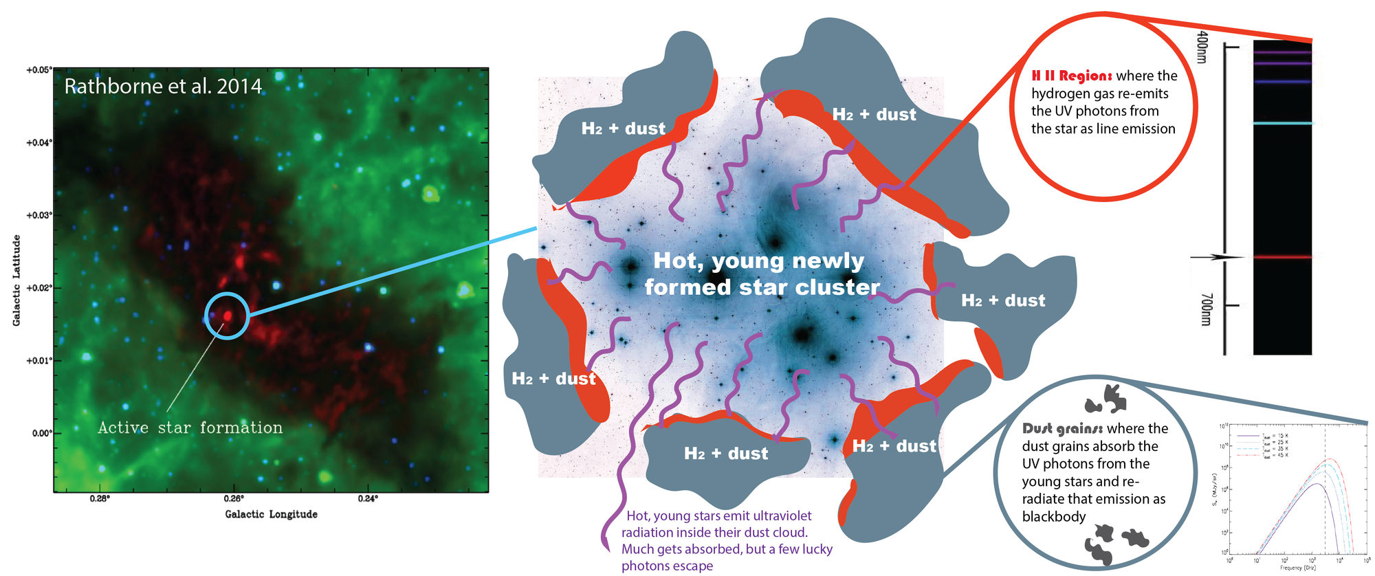 Suppression of Star Formation in NGC 1266