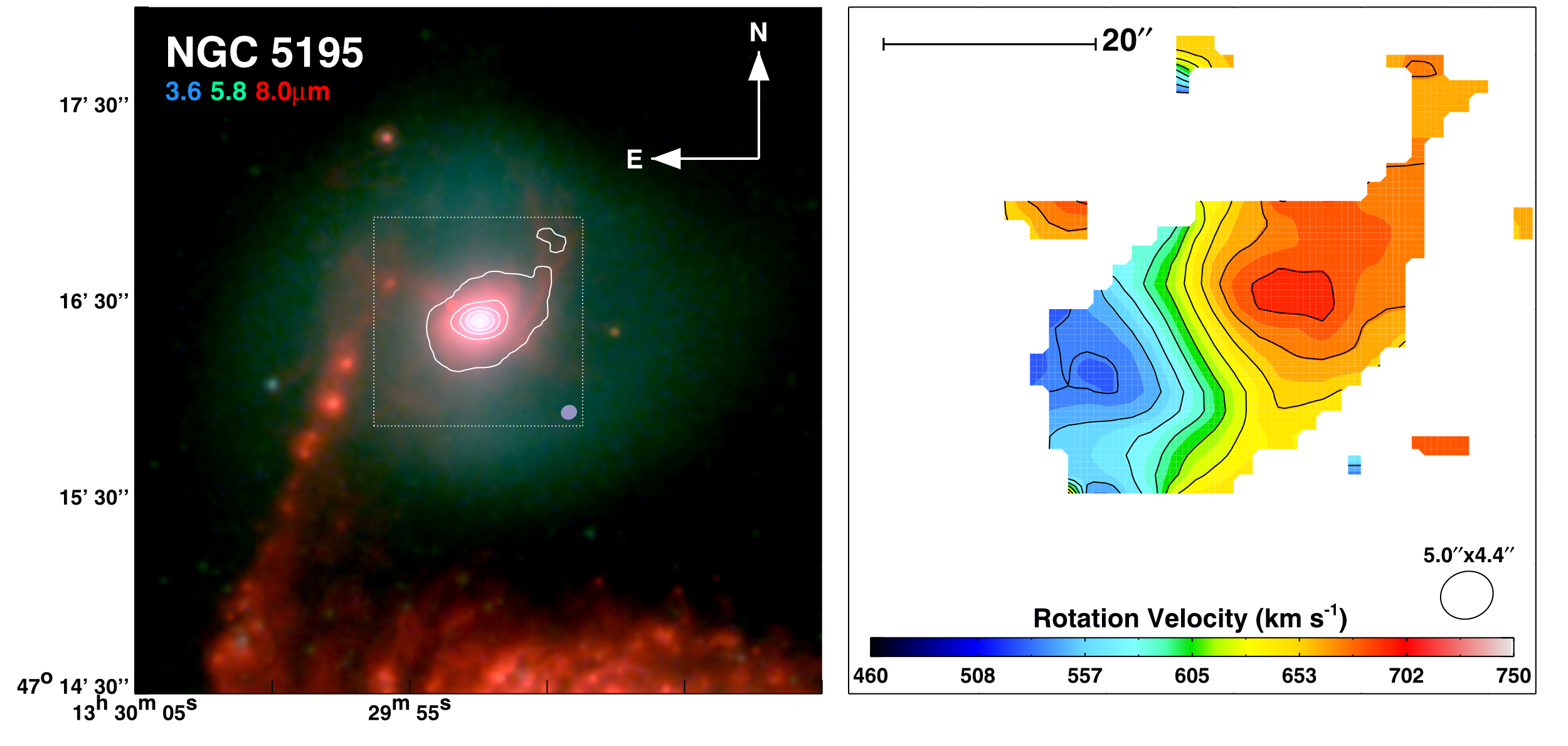 After the Interaction: an Efficiently Star-forming Molecular Disk in NGC5195