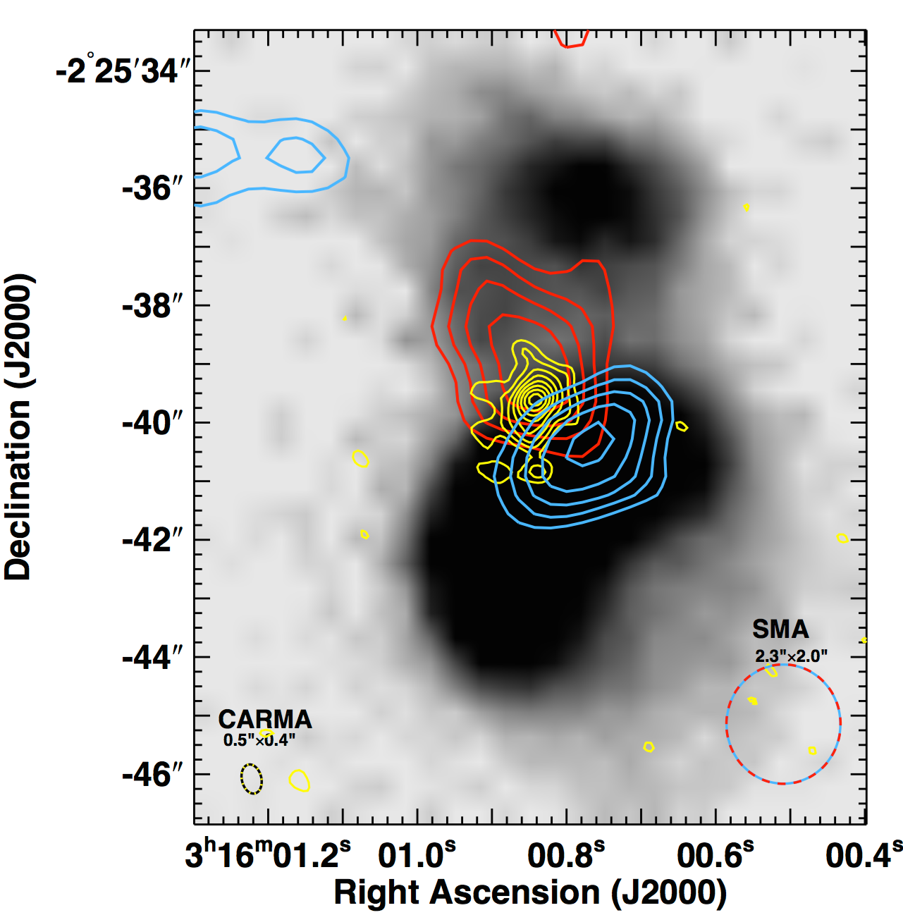 Discovery of an Active Galactic Nucleus Driven Molecular Outflow in the Local Early-type Galaxy NGC 1266