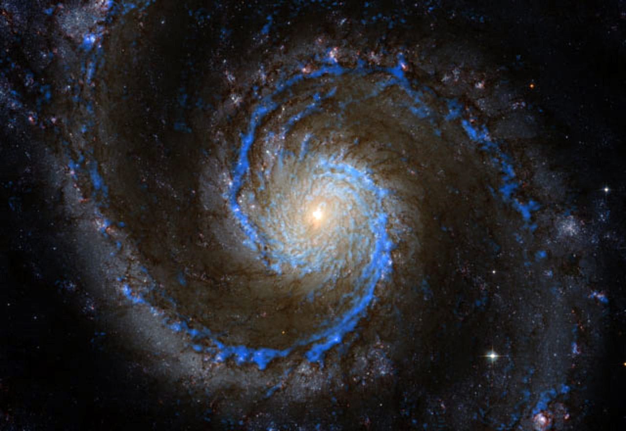 The ATLAS3D Project - XIV. The extent and kinematics of the molecular gas in early-type galaxies