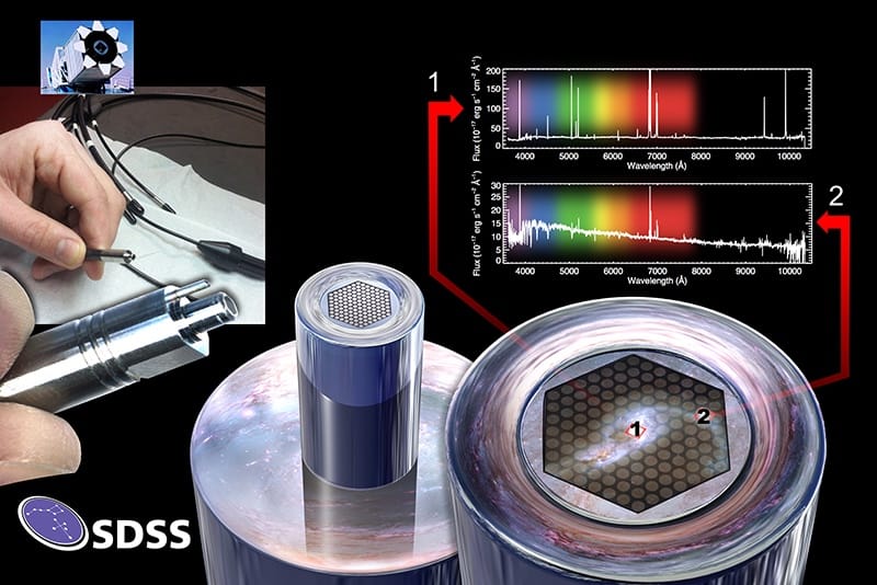 The ATLAS3D Project - X. On the origin of the molecular and ionized gas in early-type galaxies