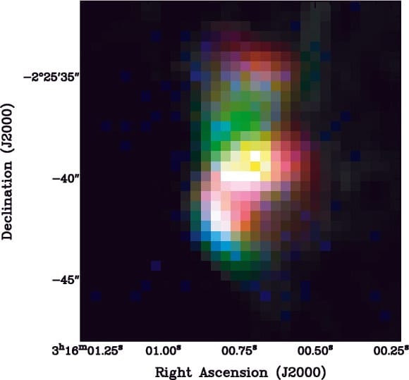 Discovery of an Active Galactic Nucleus Driven Molecular Outflow in the Local Early-type Galaxy NGC 1266