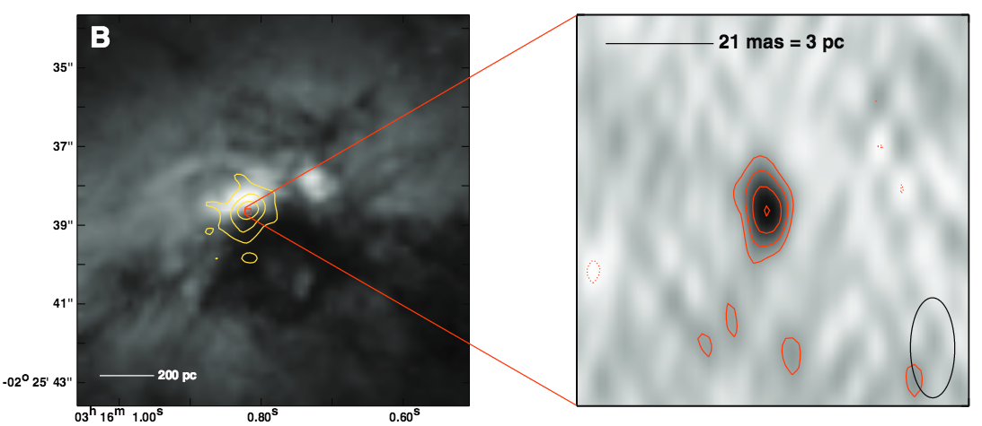 Detection of a High Brightness Temperature Radio Core in the Active Galactic Nucleus-driven Molecular Outflow Candidate NGC 1266