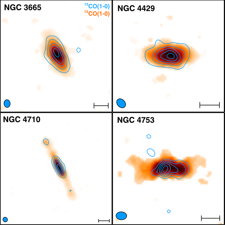 Evidence of boosted 13CO/12CO ratio in early-type galaxies in dense environments