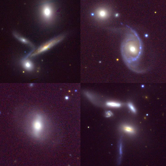 Star Formation Suppression in Compact Group Galaxies: a New Path to Quenching?